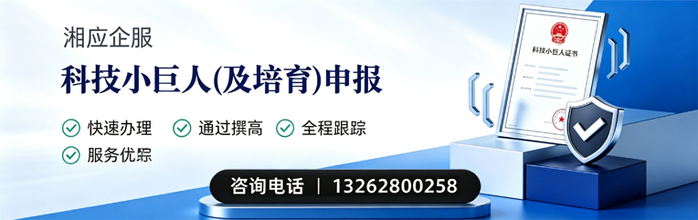 商丘科技小巨人及培育企业申报服务