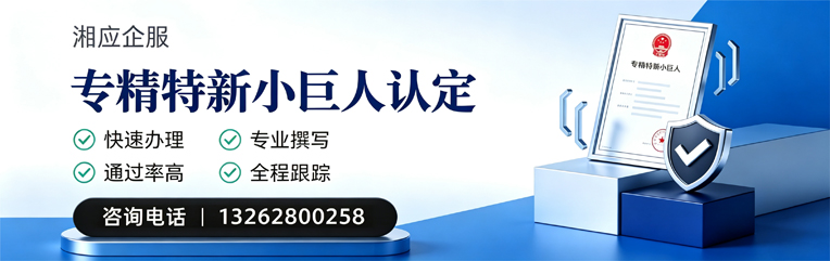 商丘专精特新小巨人申报服务